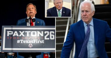 Trump doesnât endorse Paxton, Cornyn in heated GOP Texas Senate runoff